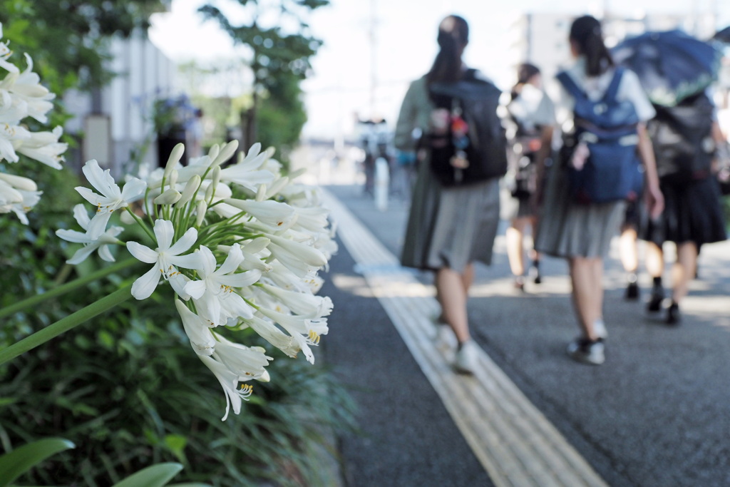 通学路