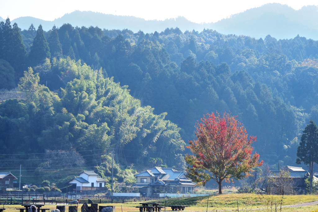 里山