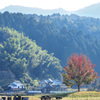 里山