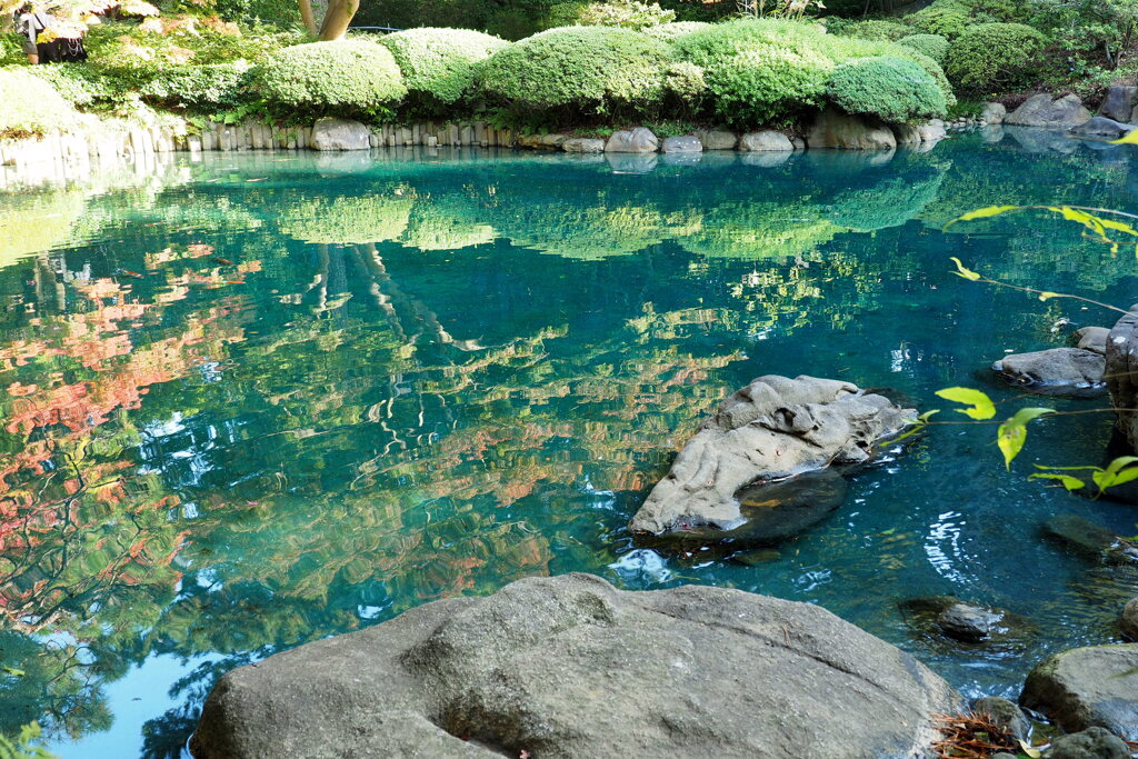 東京都庭園美術館・日本庭園 ８