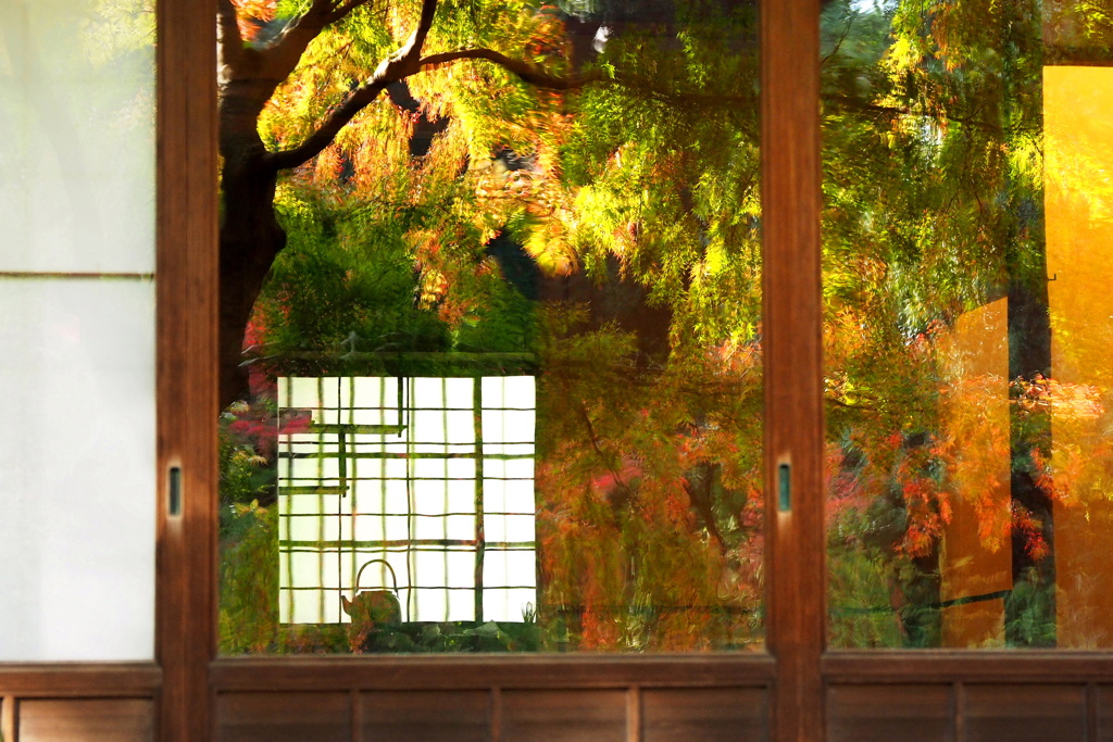 東京都庭園美術館・日本庭園 ７