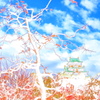 梅と大阪城 ３
