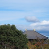 大仏殿