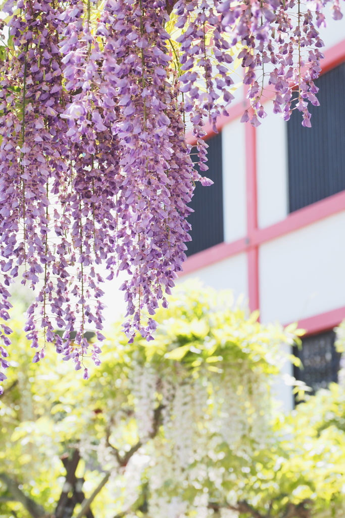 奈加美神社