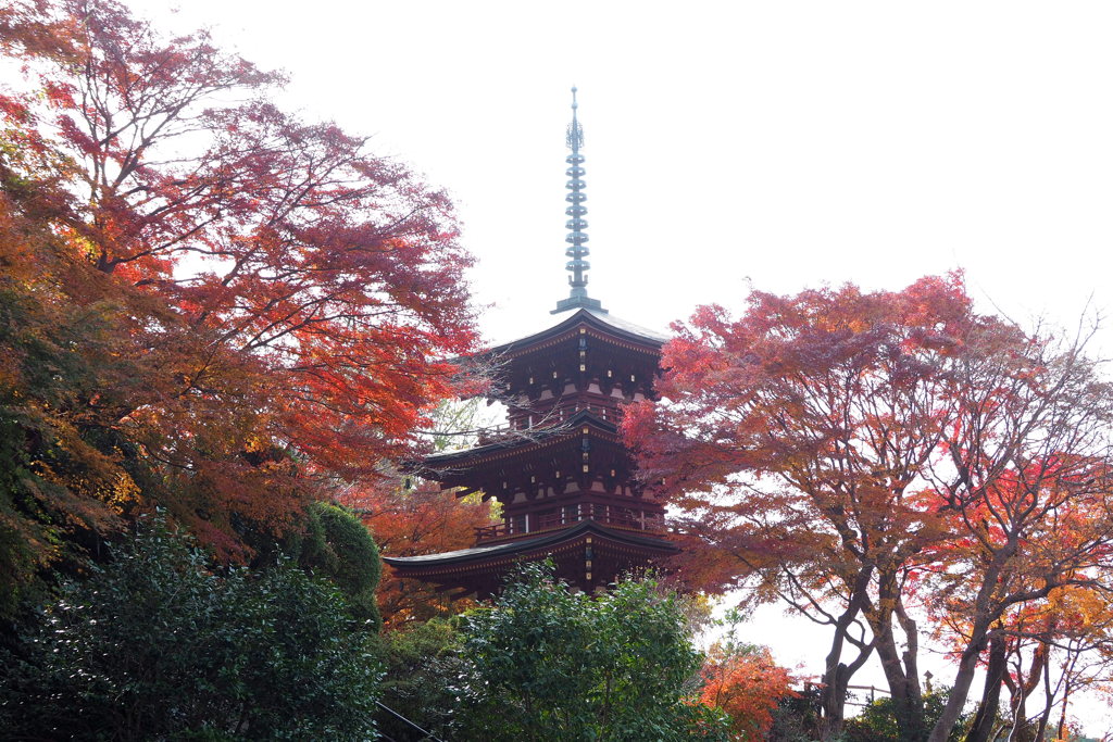 岡寺三重塔