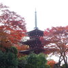 岡寺三重塔