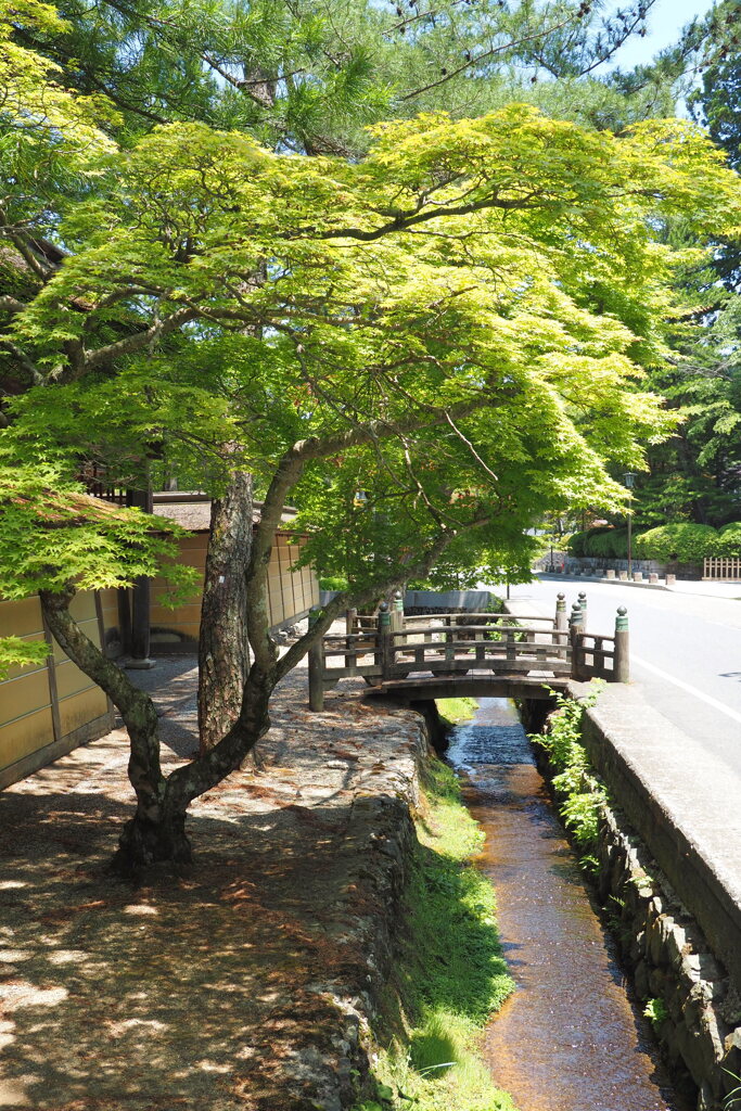 高野山