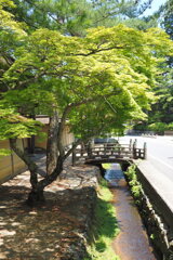 高野山