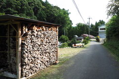 薪