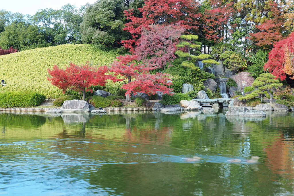 大仙公園日本庭園 ５
