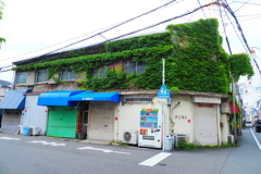 蔦
