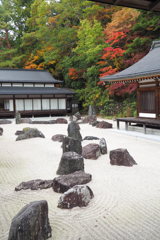 蟠龍庭の紅葉（高野山金剛峯寺）