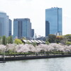 川岸