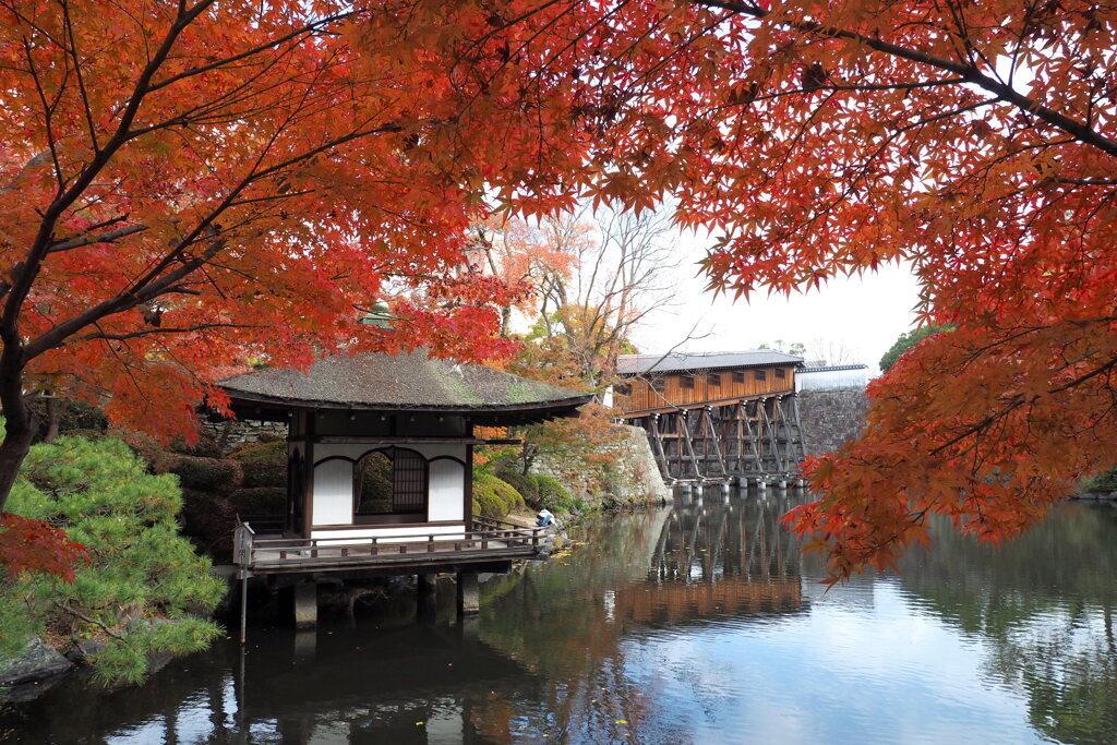 紅葉渓庭園・鳶魚閣 ４