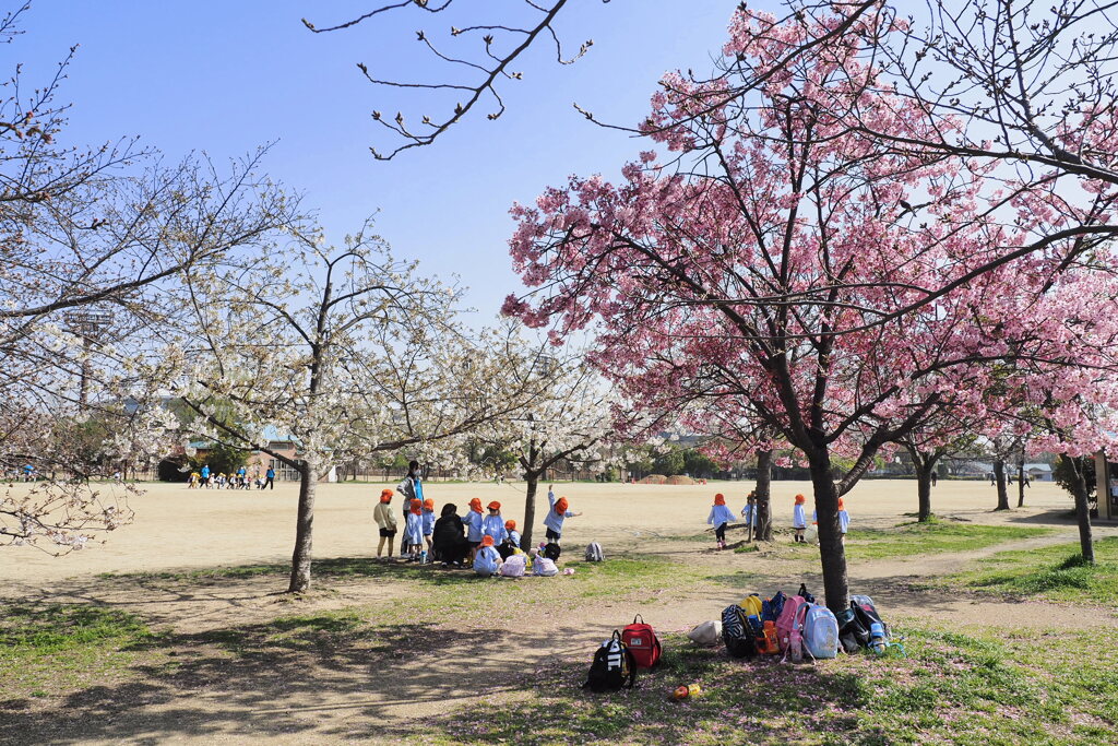 公園での一時 １