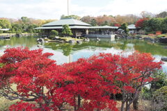 大仙公園日本庭園 １０