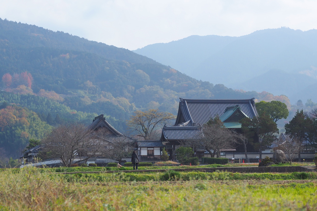 橘寺