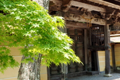 高野山