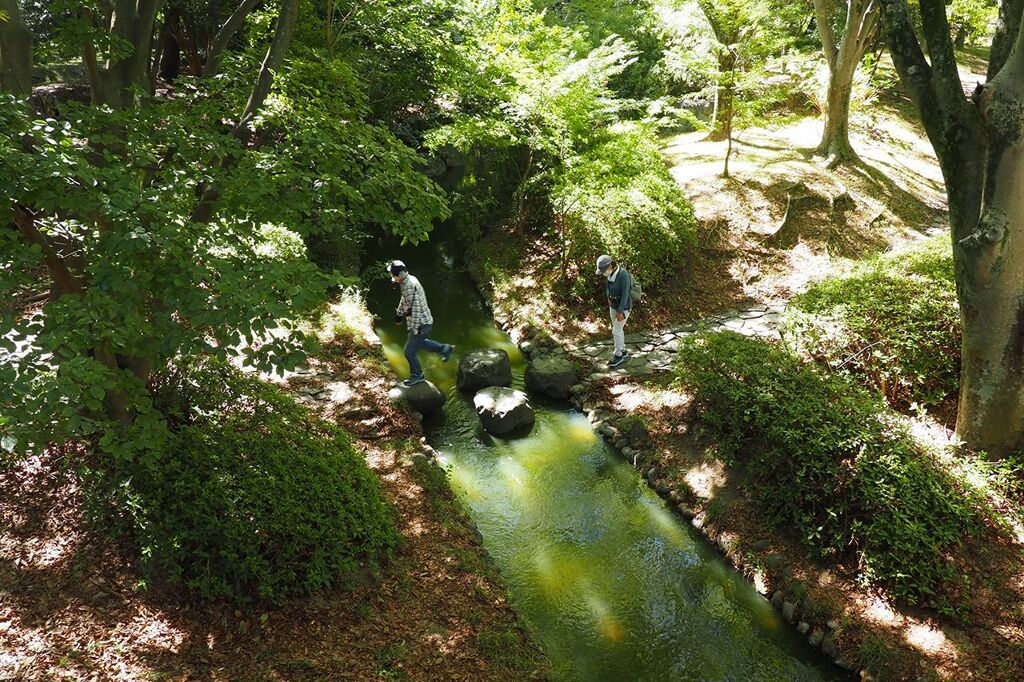 晩夏の散歩道