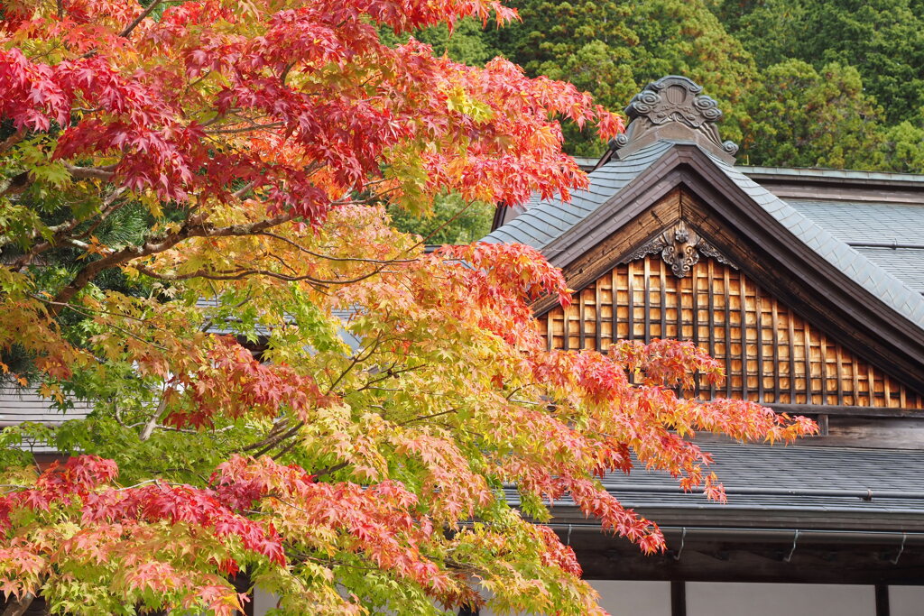 高野山にて