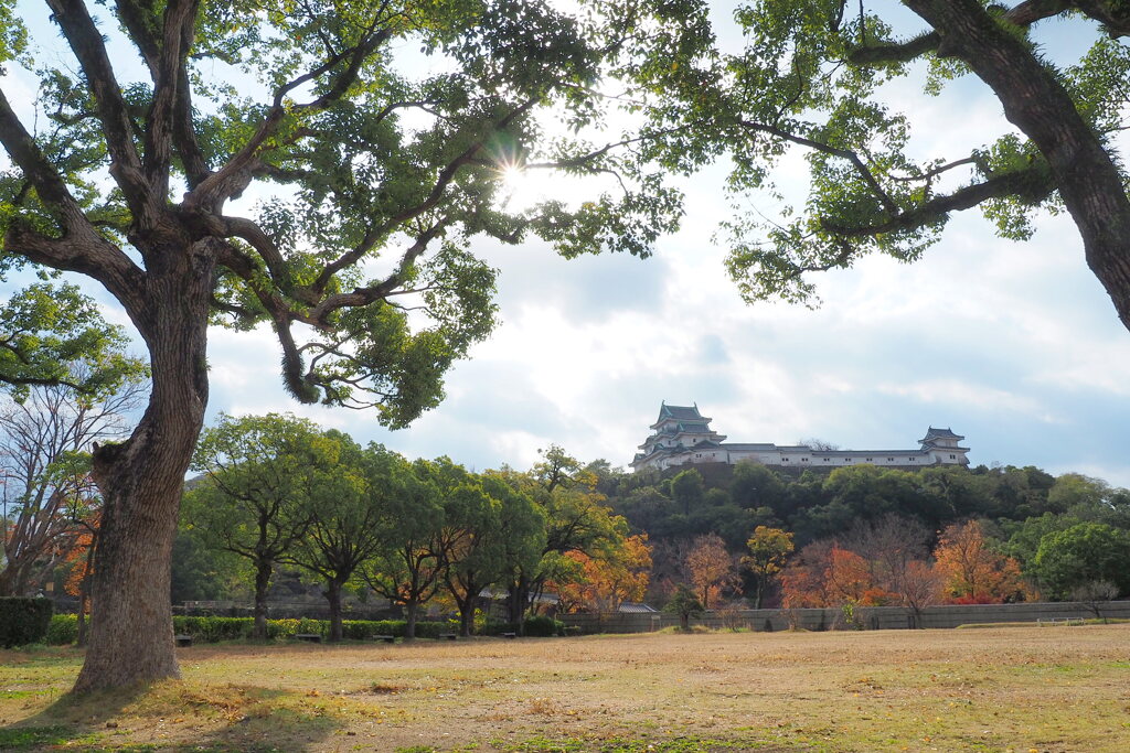 秋色和歌山城 １