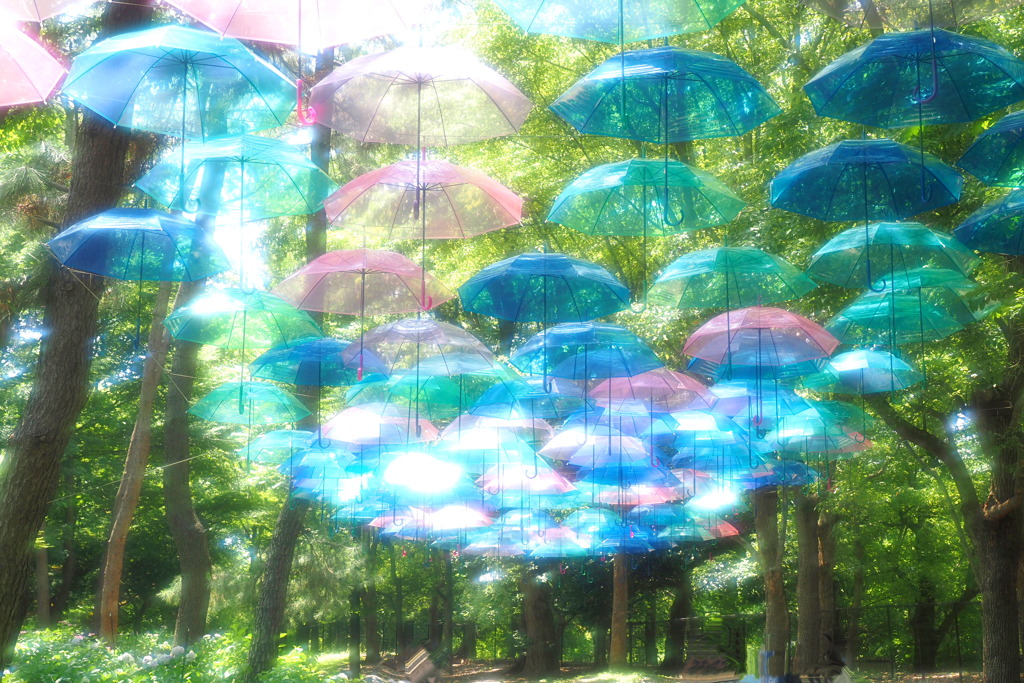 アンブレラスカイ