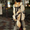 ワンちゃん