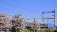 桜と電車 １
