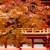 中門の紅葉（高野山）