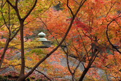 紅葉渓庭園・鳶魚閣 ３