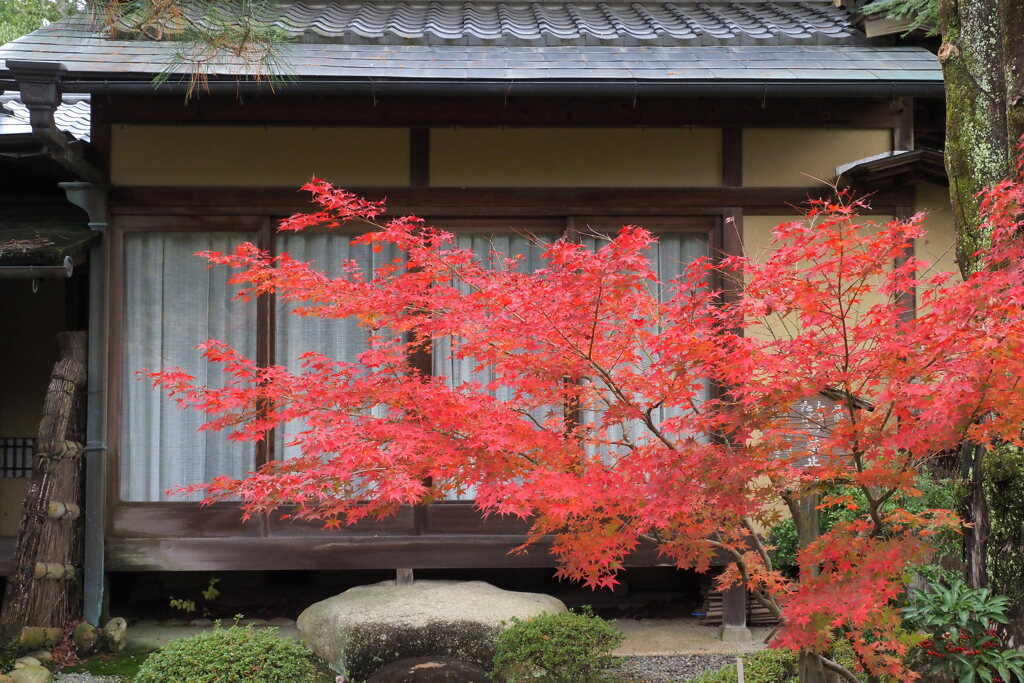 吉城園