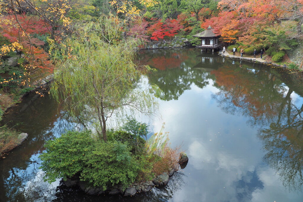 紅葉渓庭園 ６