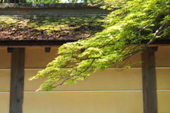 高野山