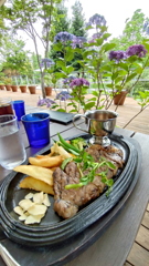 ランチ