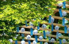風鈴祭り