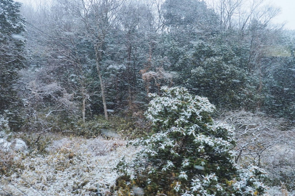 雪景色