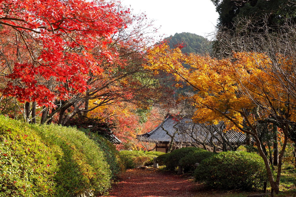 観心寺