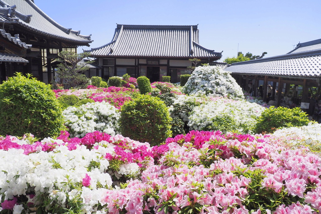 法雲寺