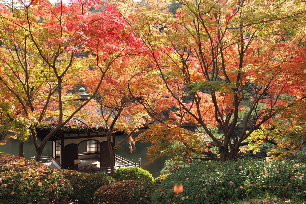 紅葉渓庭園・鳶魚閣 ２