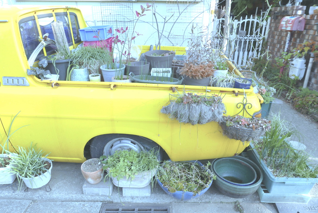 花壇