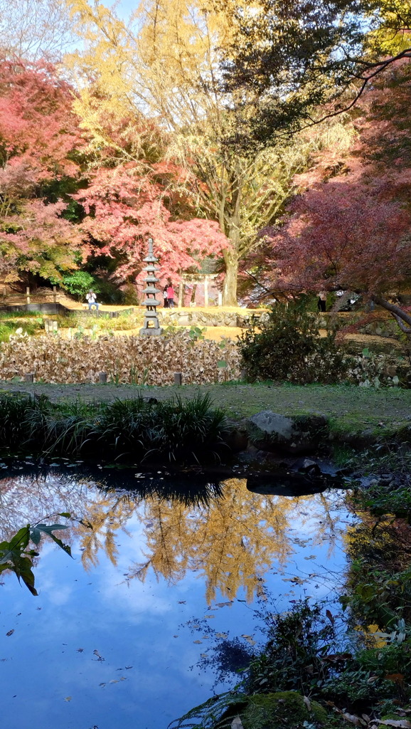 リフレクション