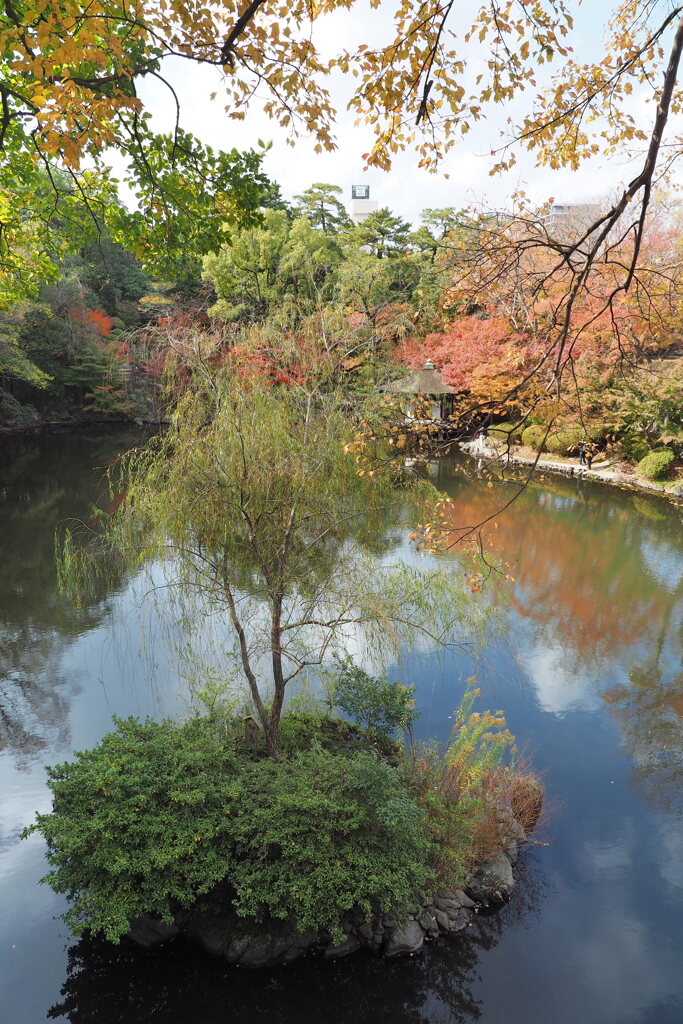 紅葉渓庭園 ７