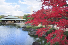 大仙公園日本庭園の秋 １