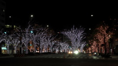 イルミネーション