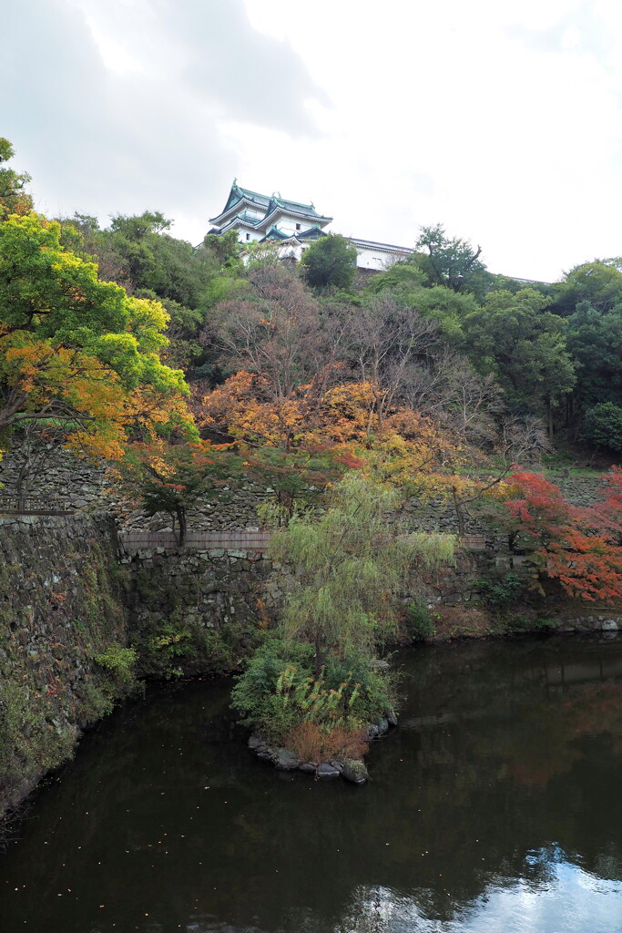 紅葉渓庭園 ８