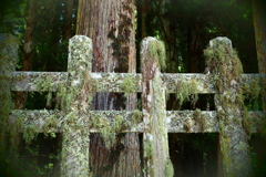 幾年月
