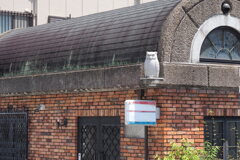 魔除け？