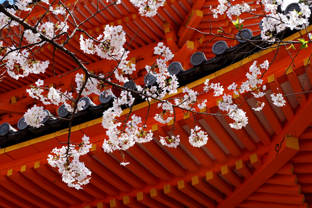 多宝塔