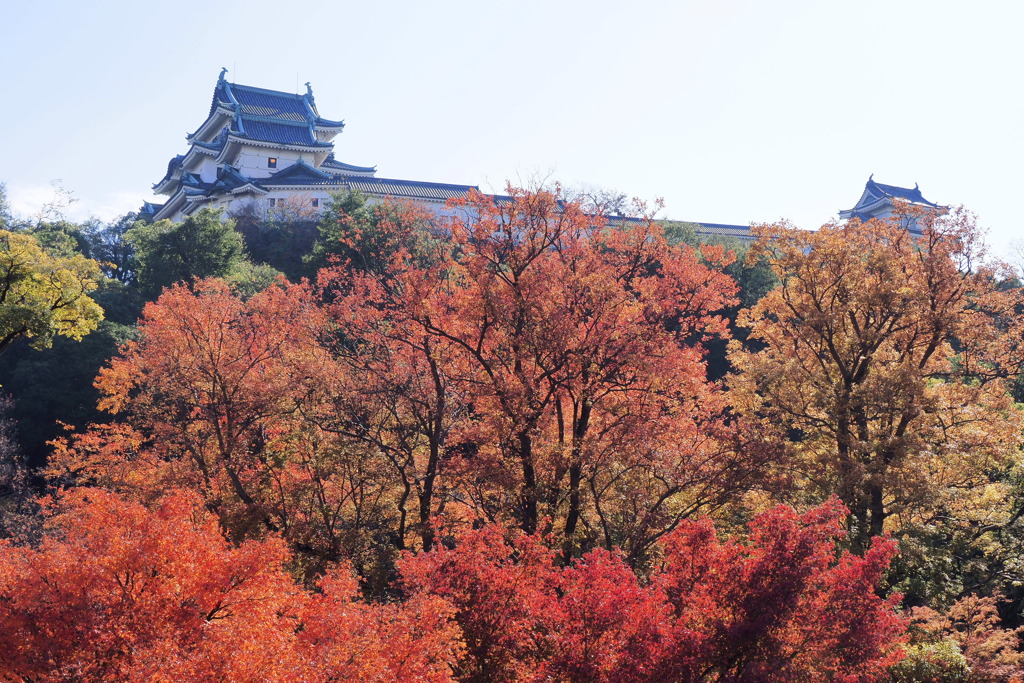 和歌山城