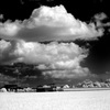 水田と雲 ３